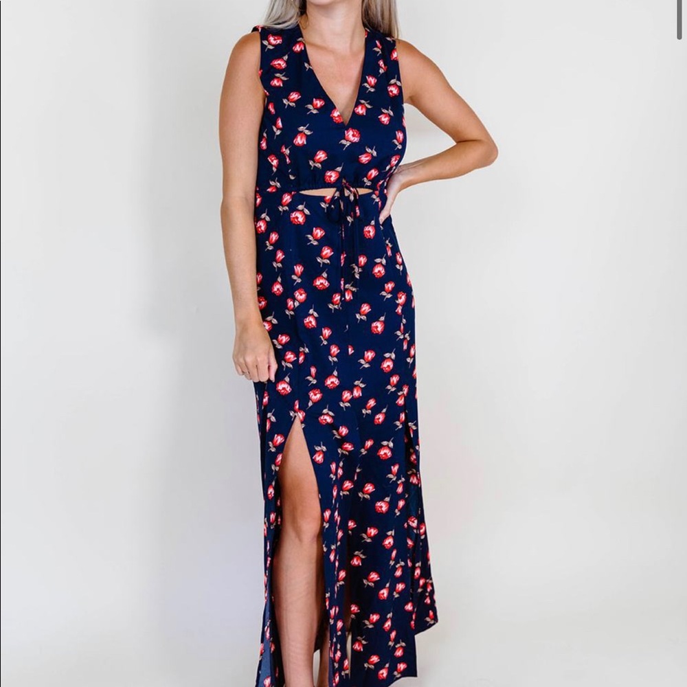 Kittenish dress - NWT